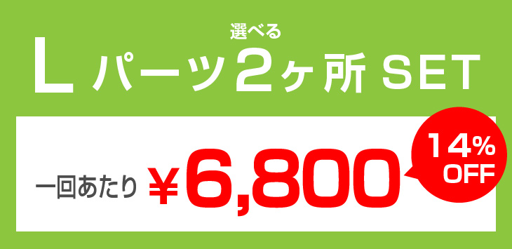 L_2 Lパーツ2ヶ所