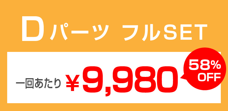 dfull Dパーツフルセット